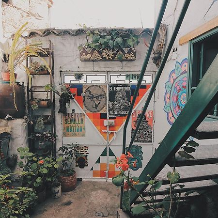Отель Hostal Casa Del Frailejon - Cafe Монги Экстерьер фото